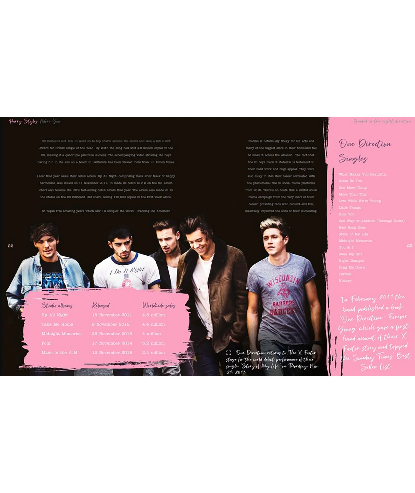 Harry Styles: Adore You The Illustrated Biography - Image 2