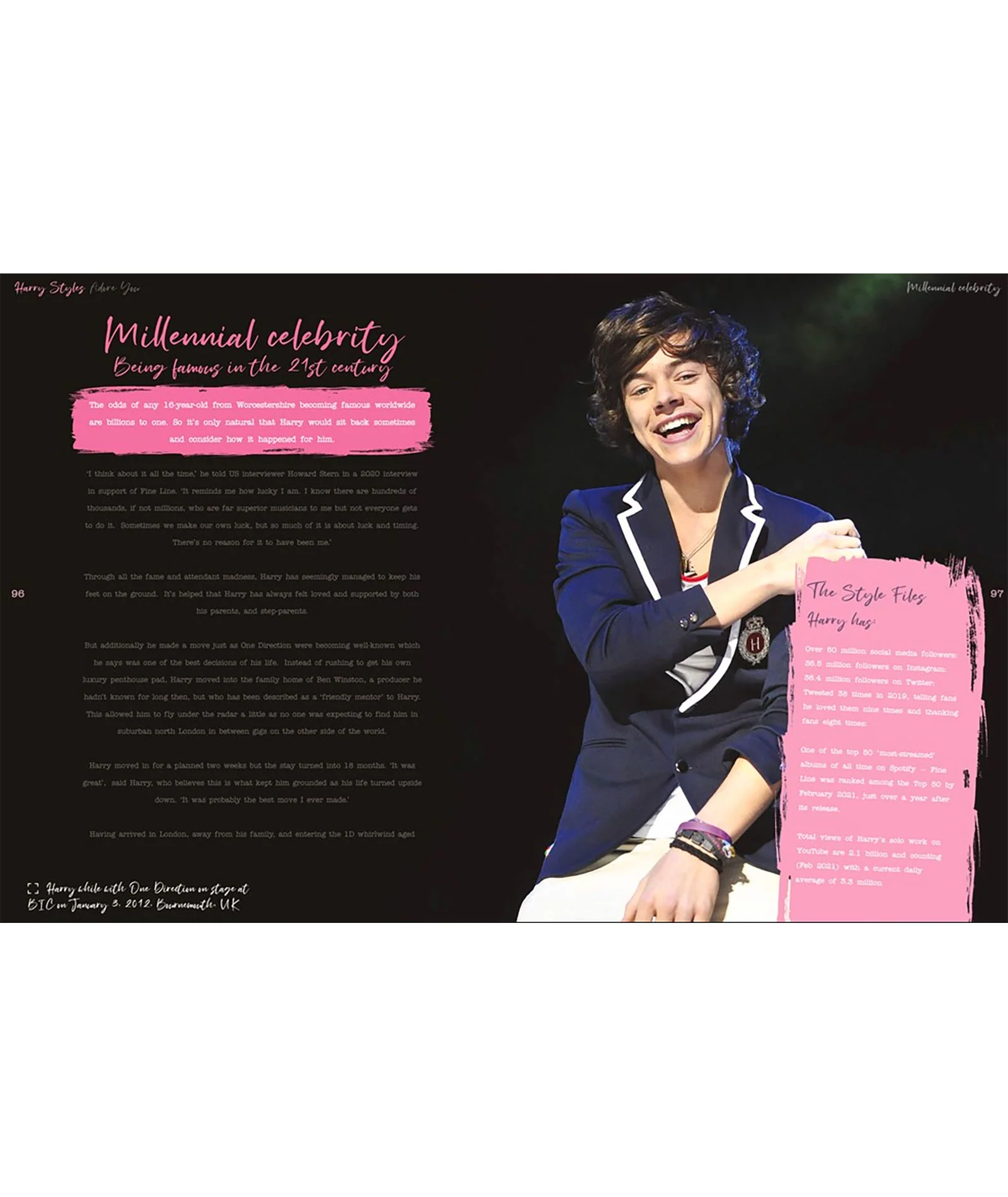 Harry Styles: Adore You The Illustrated Biography - Image 3