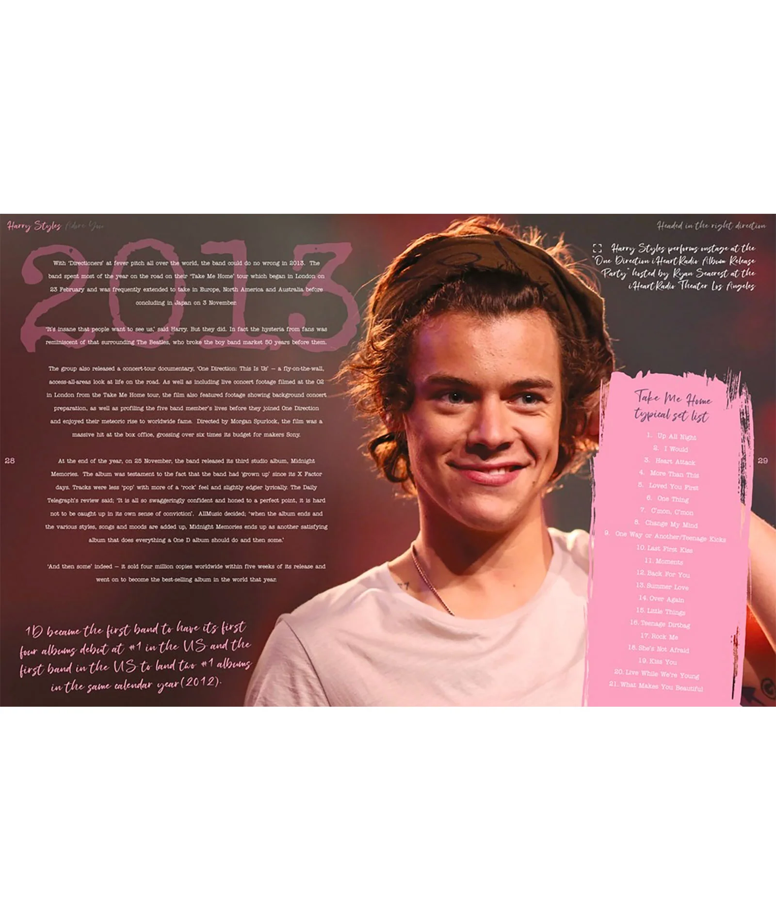 Harry Styles: Adore You The Illustrated Biography - Image 4
