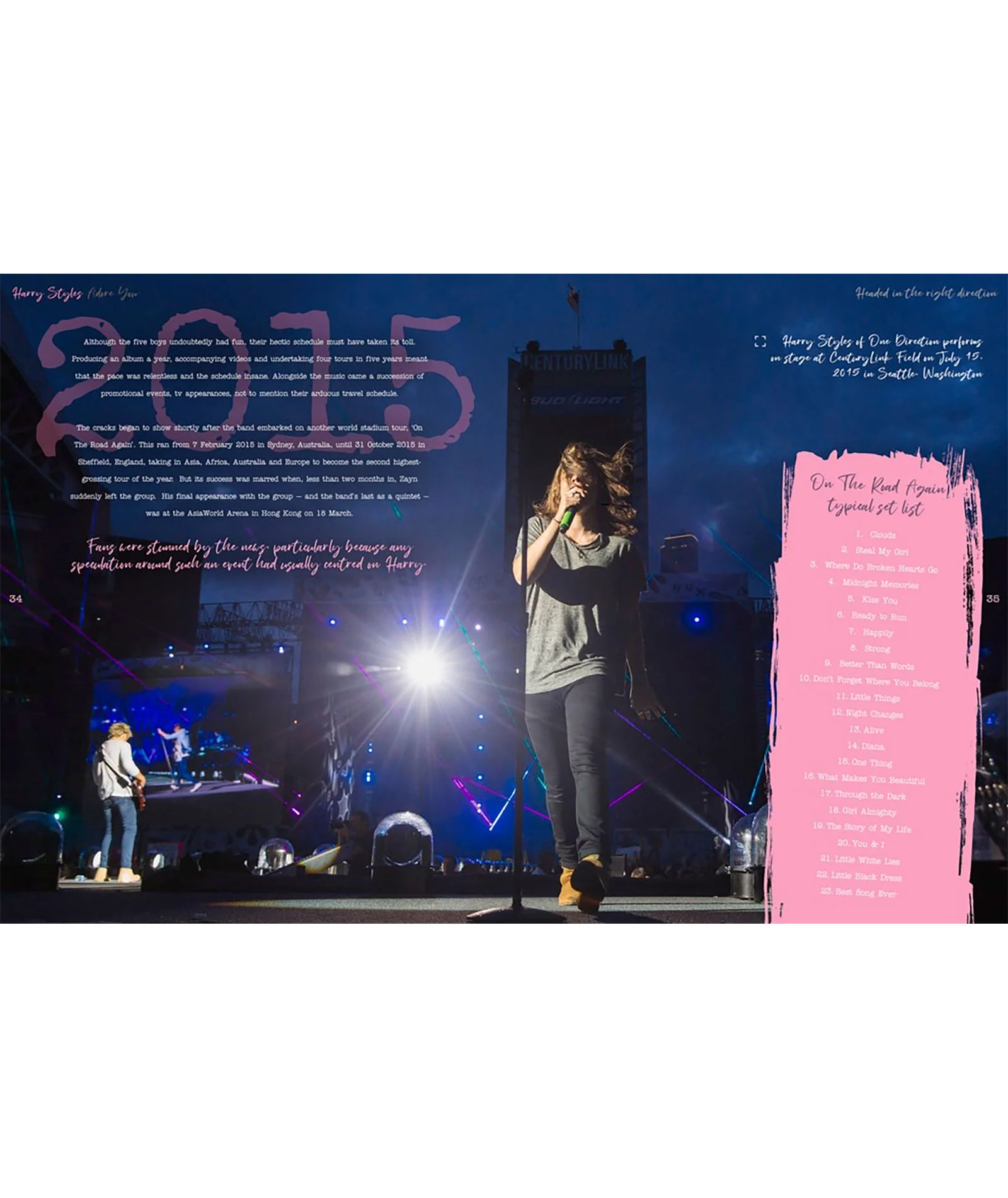 Harry Styles: Adore You The Illustrated Biography - Image 5