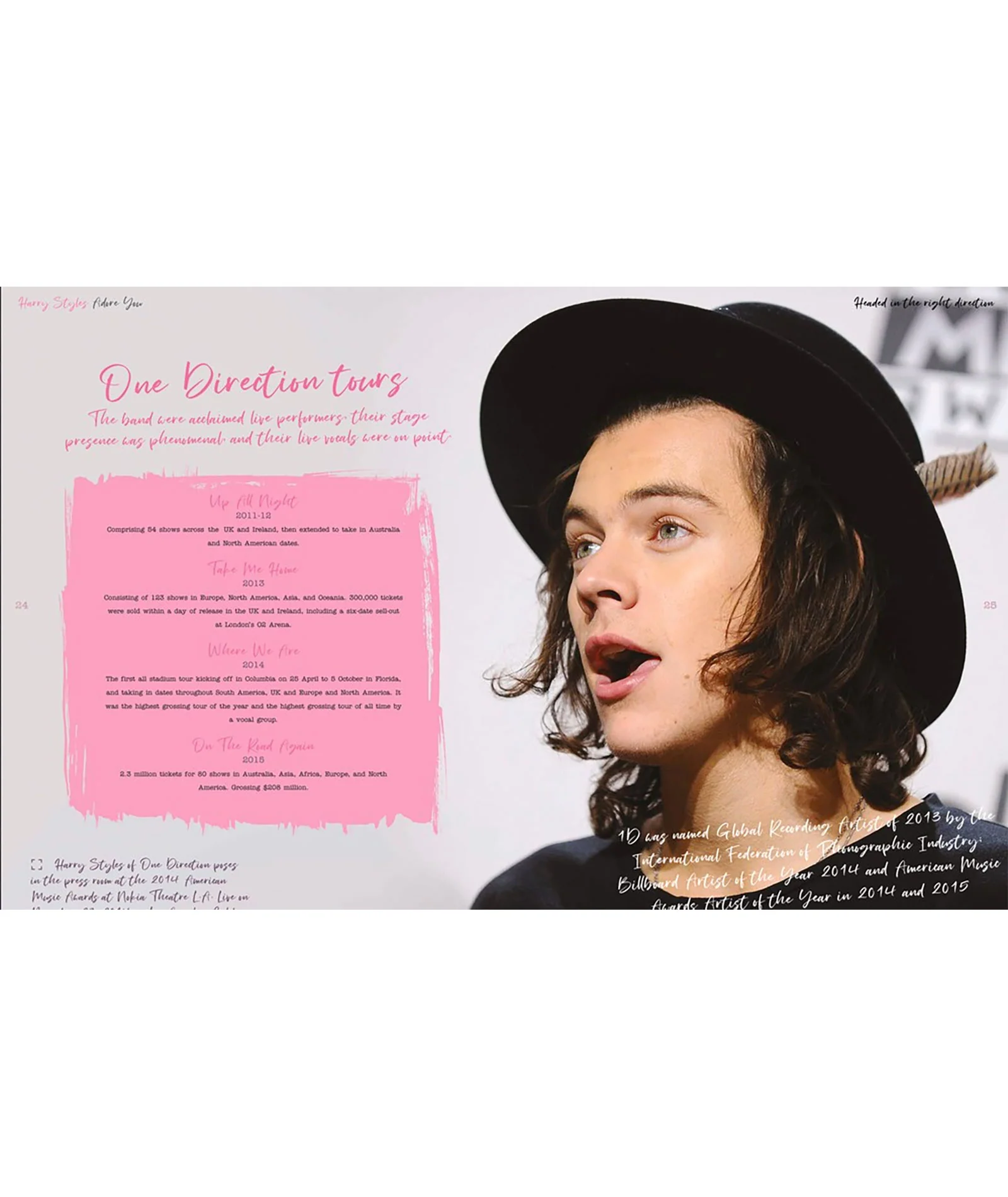 Harry Styles: Adore You The Illustrated Biography - Image 6