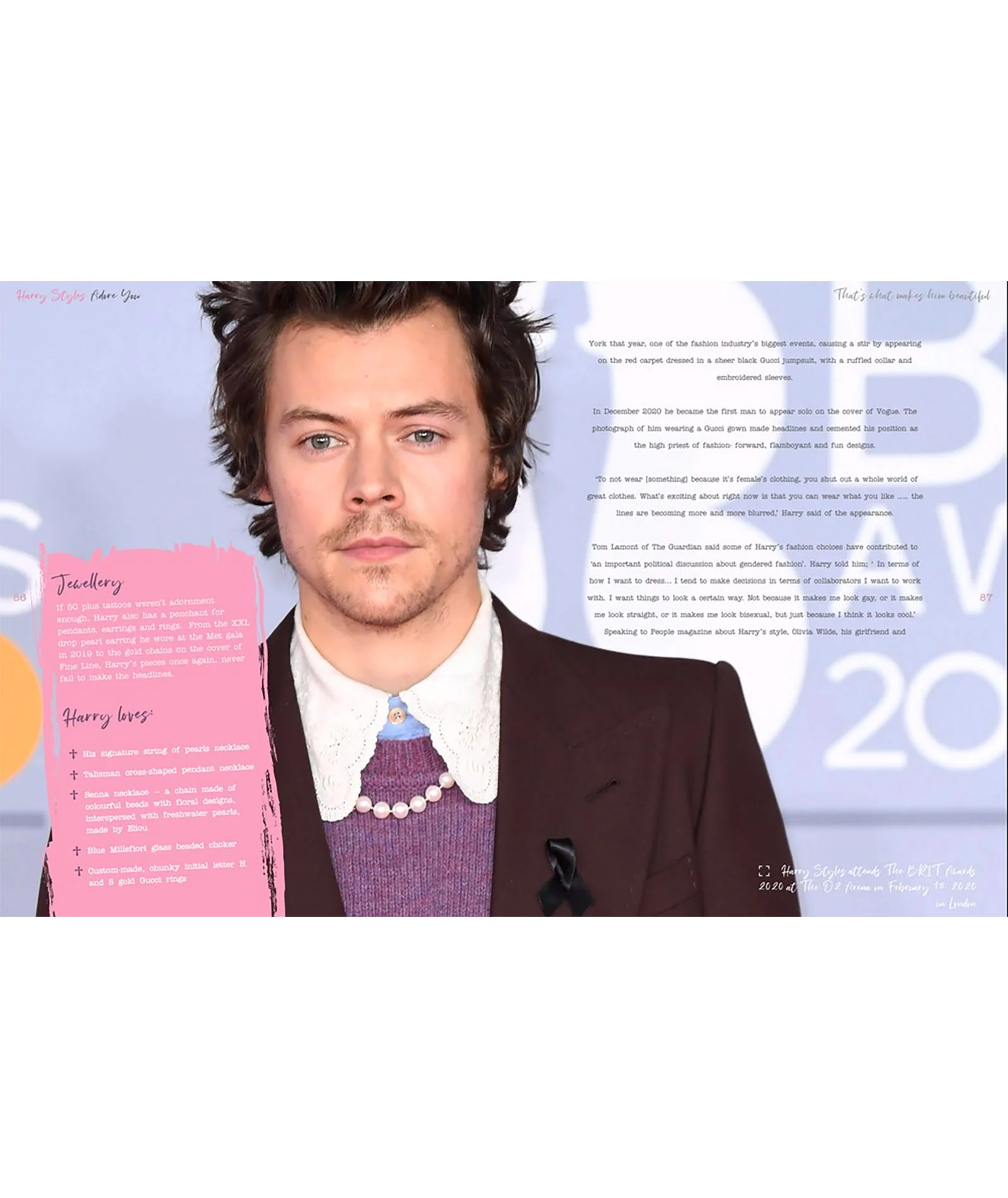 Harry Styles: Adore You The Illustrated Biography - Image 7