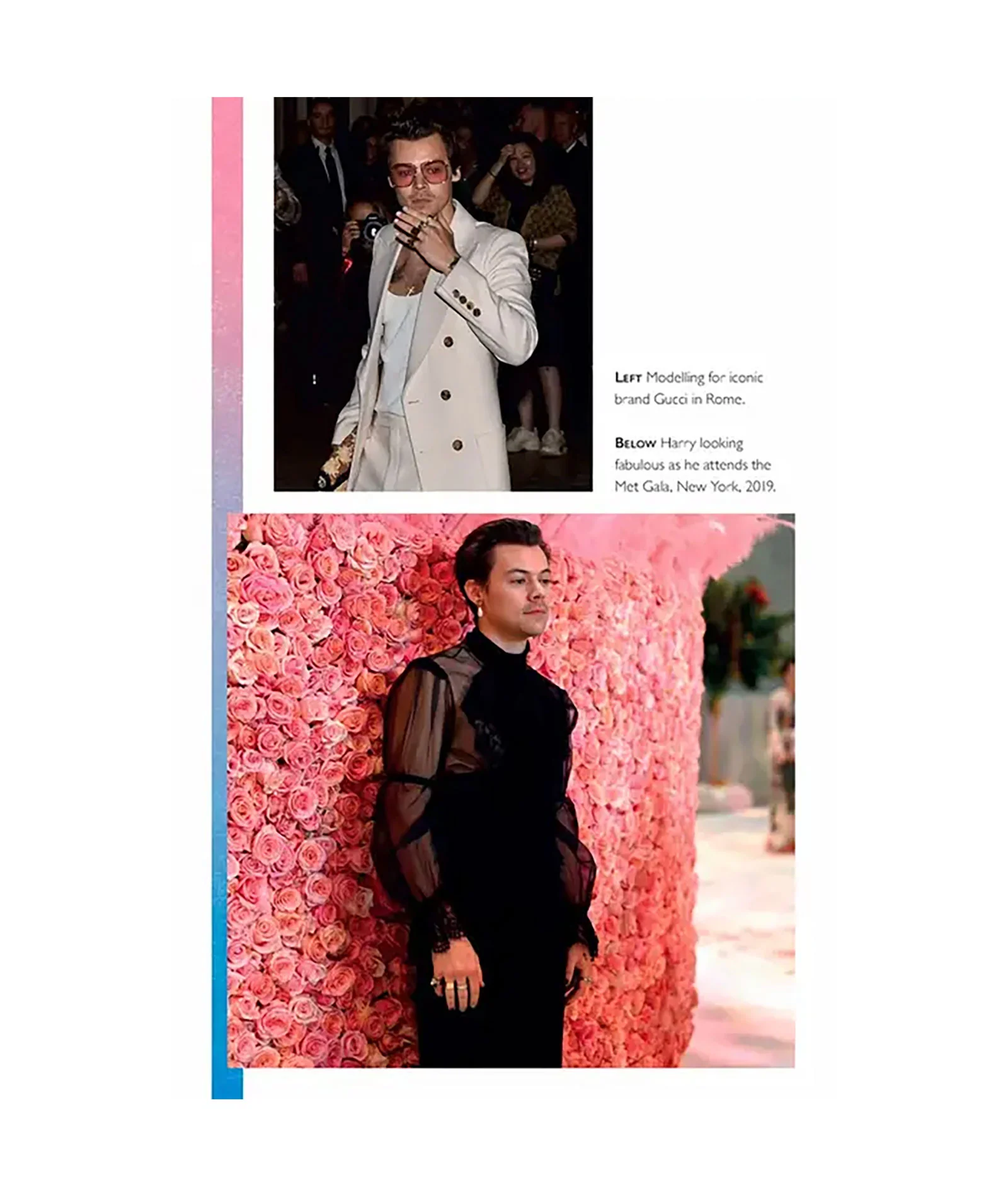 Harry Styles: The Unauthorized Biography - Image 3