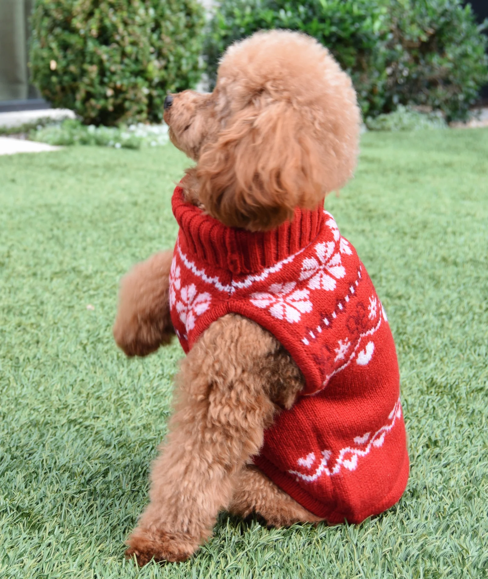 Love Shack Fancy Women Arindia Dog Sweater Red Velvet Truffle - Image 4
